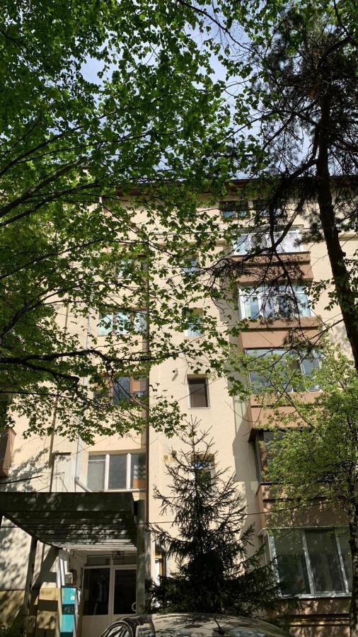 Best Apartment City Hall Suceava Exterior photo